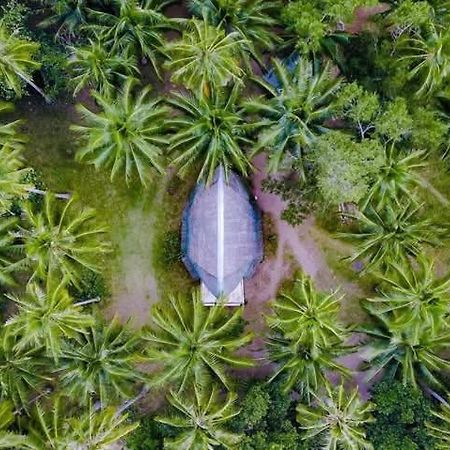 Playa Paraiso Nagtabon Beach Bacungan Экстерьер фото
